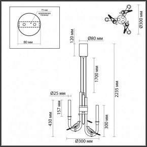 Подвесная люстра Odeon Light Lark 5431/6L в Игриме - igrim.ok-mebel.com | фото 5