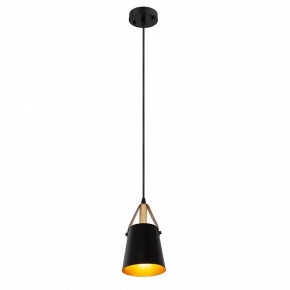 Подвесной светильник Arte Lamp Thomas A7032SP-1BK в Игриме - igrim.ok-mebel.com | фото 3