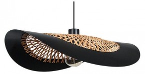 Подвесной светильник Arte Lamp Woodstock A7059SP-1BK в Игриме - igrim.ok-mebel.com | фото