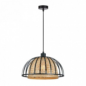 Подвесной светильник Arte Lamp Woodstock A7071SP-1BK в Игриме - igrim.ok-mebel.com | фото