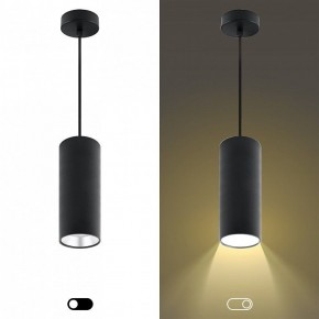Подвесной светильник Эра  PL12 GX53 BK/SL в Игриме - igrim.ok-mebel.com | фото 5
