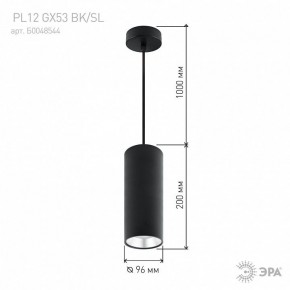 Подвесной светильник Эра  PL12 GX53 BK/SL в Игриме - igrim.ok-mebel.com | фото 8