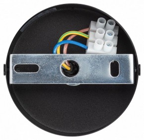 Подвесной светильник Эра  PL12 GX53 BK/SL в Игриме - igrim.ok-mebel.com | фото 9