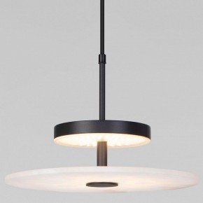Подвесной светильник Eurosvet Thasos 40342 LED черный в Игриме - igrim.ok-mebel.com | фото