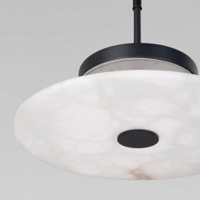 Подвесной светильник Eurosvet Thasos 40342 LED черный в Игриме - igrim.ok-mebel.com | фото 8