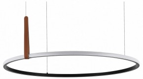 Подвесной светильник ST-Luce Shape SL6131.403.42 в Игриме - igrim.ok-mebel.com | фото 2