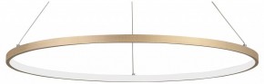 Подвесной светильник Vitaluce V2516 V2516-8/1S в Игриме - igrim.ok-mebel.com | фото