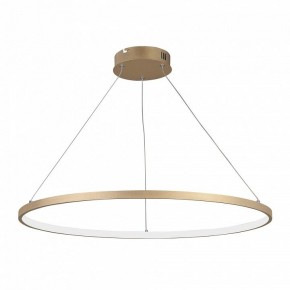 Подвесной светильник Vitaluce V2516 V2516-8/1S в Игриме - igrim.ok-mebel.com | фото 2
