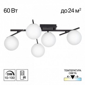 Потолочная люстра Citilux Dorsy CL223152 в Игриме - igrim.ok-mebel.com | фото 2