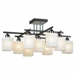 Потолочная люстра Lussole Costanzo LSL-9007-09 в Игриме - igrim.ok-mebel.com | фото 2
