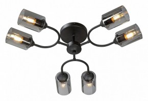 Потолочная люстра Vitaluce V2823 V2823-1/6PL в Игриме - igrim.ok-mebel.com | фото 2