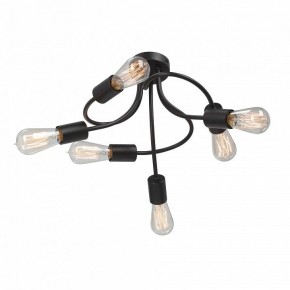 Потолочная люстра Vitaluce V3928 V3928-1/6PL в Игриме - igrim.ok-mebel.com | фото 3