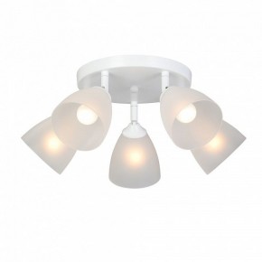 Потолочная люстра Vitaluce V4355 V4355-0/5PL в Игриме - igrim.ok-mebel.com | фото 2