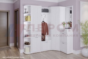 Прихожая Карина композиция 5 (Снежный ясень) в Игриме - igrim.ok-mebel.com | фото 1