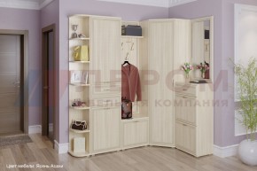 Прихожая Карина композиция 5 (Ясень Асахи) в Игриме - igrim.ok-mebel.com | фото 1