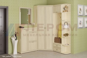 Прихожая Карина композиция 8 (Ясень Асахи) в Игриме - igrim.ok-mebel.com | фото