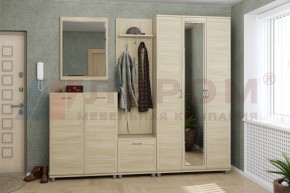 Прихожая Мелисса композиция 2 (Ясень Асахи) в Игриме - igrim.ok-mebel.com | фото 1