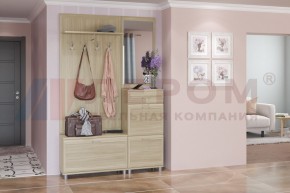 Прихожая Мелисса композиция 8 (Ясень Асахи) в Игриме - igrim.ok-mebel.com | фото