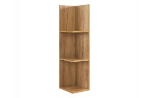 РИЧ Полка навесная 2 в Игриме - igrim.ok-mebel.com | фото 4