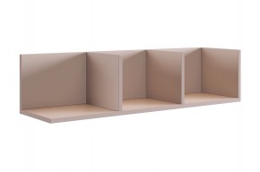 РИЧ Полка навесная 2 (кашемир) в Игриме - igrim.ok-mebel.com | фото