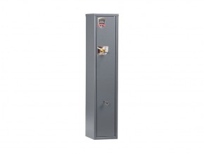 Сейф Чирок 1025 в Игриме - igrim.ok-mebel.com | фото
