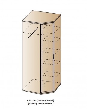 ШК-1011 (Шкаф угловой) в Игриме - igrim.ok-mebel.com | фото