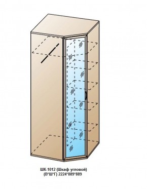 ШК-1012 (Шкаф угловой) в Игриме - igrim.ok-mebel.com | фото
