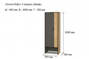 ОЛЬГА-ЛОФТ 3 Шкаф 2-х створчатый в Игриме - igrim.ok-mebel.com | фото 4