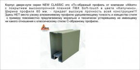 Шкаф-купе 1700 серии NEW CLASSIC K4+K4+B2+PL4 (2 ящика+F обр. штанга) профиль «Капучино» в Игриме - igrim.ok-mebel.com | фото 18