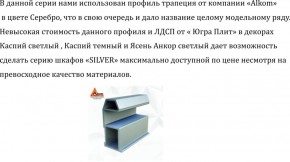 Шкаф-купе 1950 серии SILVER S6+S1+S6Z B22+PL1 (по 2 ящика лев/прав+1 штанга) профиль «Серебро» в Игриме - igrim.ok-mebel.com | фото 16