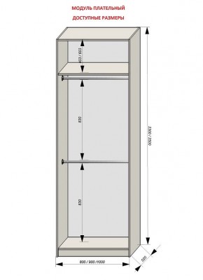 Шкаф распашной серия «ЗЕВС» (PL3/С1/PL2) в Игриме - igrim.ok-mebel.com | фото 12