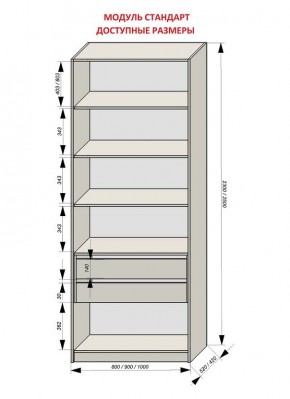 Шкаф распашной серия «ЗЕВС» (PL3/С1/PL2) в Игриме - igrim.ok-mebel.com | фото 13