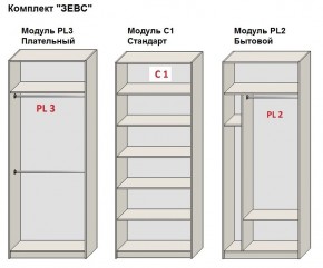 Шкаф распашной серия «ЗЕВС» (PL3/С1/PL2) в Игриме - igrim.ok-mebel.com | фото 2