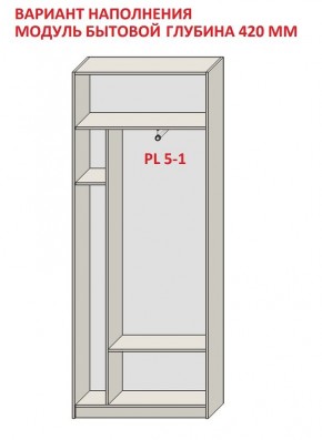 Шкаф распашной серия «ЗЕВС» (PL3/С1/PL2) в Игриме - igrim.ok-mebel.com | фото 4