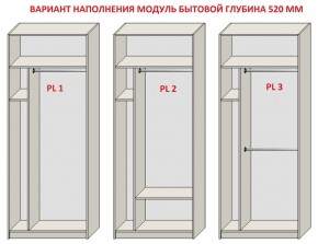 Шкаф распашной серия «ЗЕВС» (PL3/С1/PL2) в Игриме - igrim.ok-mebel.com | фото 5