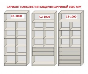 Шкаф распашной серия «ЗЕВС» (PL3/С1/PL2) в Игриме - igrim.ok-mebel.com | фото 7