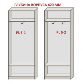 Шкаф распашной серия «ЗЕВС» (PL3/С1/PL2) в Игриме - igrim.ok-mebel.com | фото 8