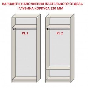 Шкаф распашной серия «ЗЕВС» (PL3/С1/PL2) в Игриме - igrim.ok-mebel.com | фото 9