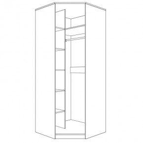 Шкаф угловой (корпус) Парма Нео в Игриме - igrim.ok-mebel.com | фото 4