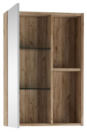 Шкаф-зеркало Craft 50 левый/правый Домино (DCr2212HZ) в Игриме - igrim.ok-mebel.com | фото 2