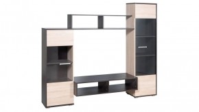 Стенка Рио в Игриме - igrim.ok-mebel.com | фото 2