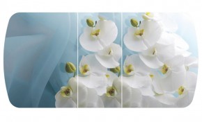 Стол Бостон-3 (Белая Орхидея) 1100/1420*700, опора Брифинг в Игриме - igrim.ok-mebel.com | фото 2