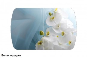 Стол Бостон 900*600 (опоры Брифинг) Стекло/фотопечать Белая Орхидея в Игриме - igrim.ok-mebel.com | фото