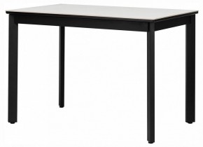 Стол обеденный Айлин 2Р в Игриме - igrim.ok-mebel.com | фото