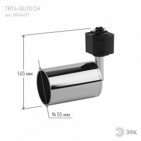Светильник на штанге Эра  TR14-GU10 CH в Игриме - igrim.ok-mebel.com | фото 4