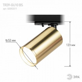 Светильник на штанге Эра  TR39-GU10 BS в Игриме - igrim.ok-mebel.com | фото 6