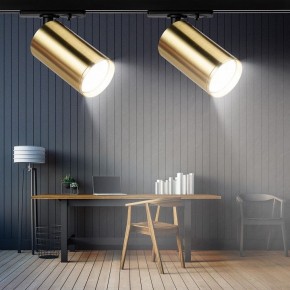 Светильник на штанге Эра  TR39-GU10 BS в Игриме - igrim.ok-mebel.com | фото 7