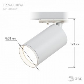 Светильник на штанге Эра  TR39-GU10 WH в Игриме - igrim.ok-mebel.com | фото 7