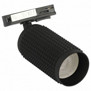 Светильник на штанге Эра  TR40-GU10 BK в Игриме - igrim.ok-mebel.com | фото