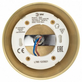 Светильник на штанге Эра  TR42-GX53 BS в Игриме - igrim.ok-mebel.com | фото 5